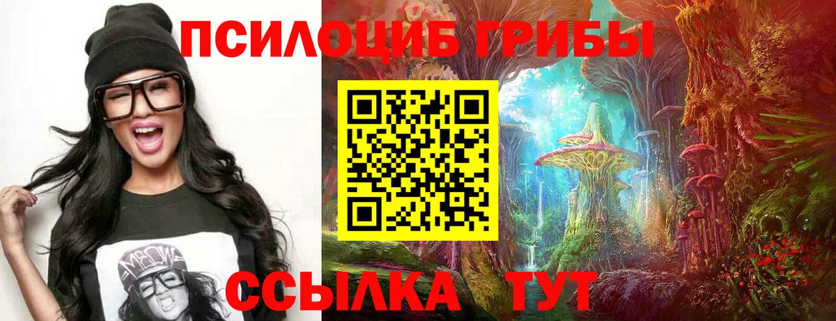 Псилоцибиновые грибы мухоморы Реутов