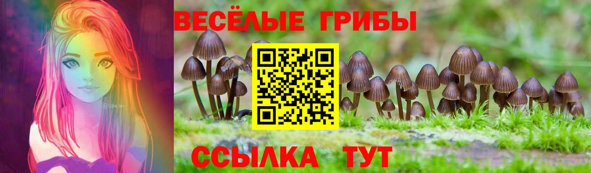 Реутов  Псилоцибиновые грибы GOLDEN TEACHER  Псилоцибиновые грибы Magic Shrooms  где найти   Вход с VPN 
